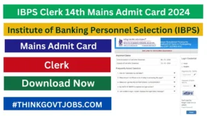 IBPS Clerk 14th Mains Admit Card 2024