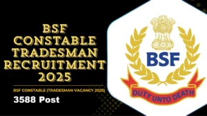 BSF 3588 Constable Tradesman Recruitment 2025